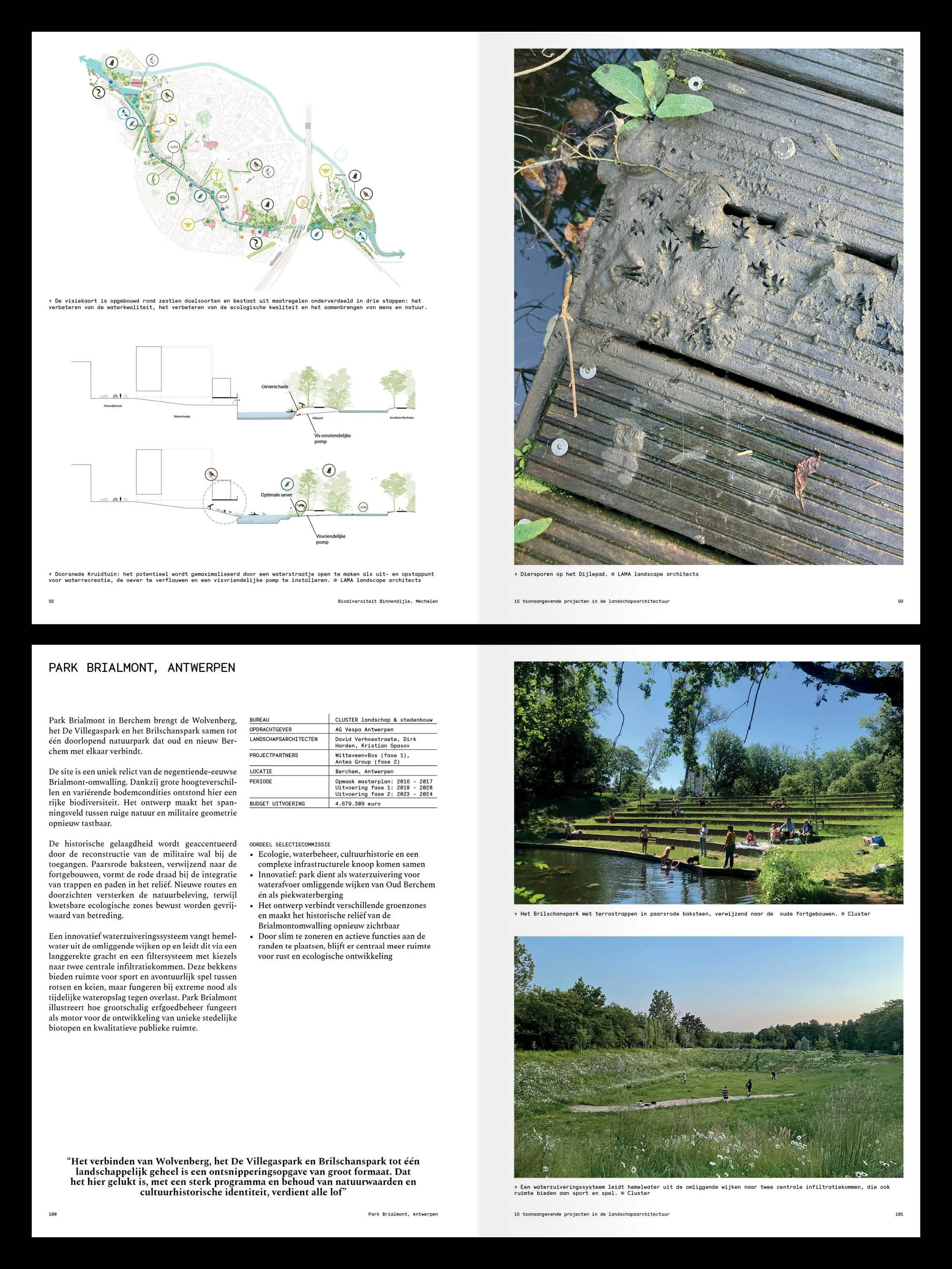BLIKVELD 10.jpg
