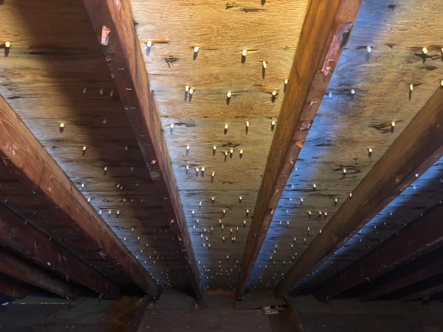 How to Reduce Attic Condensation During a Calgary Winter