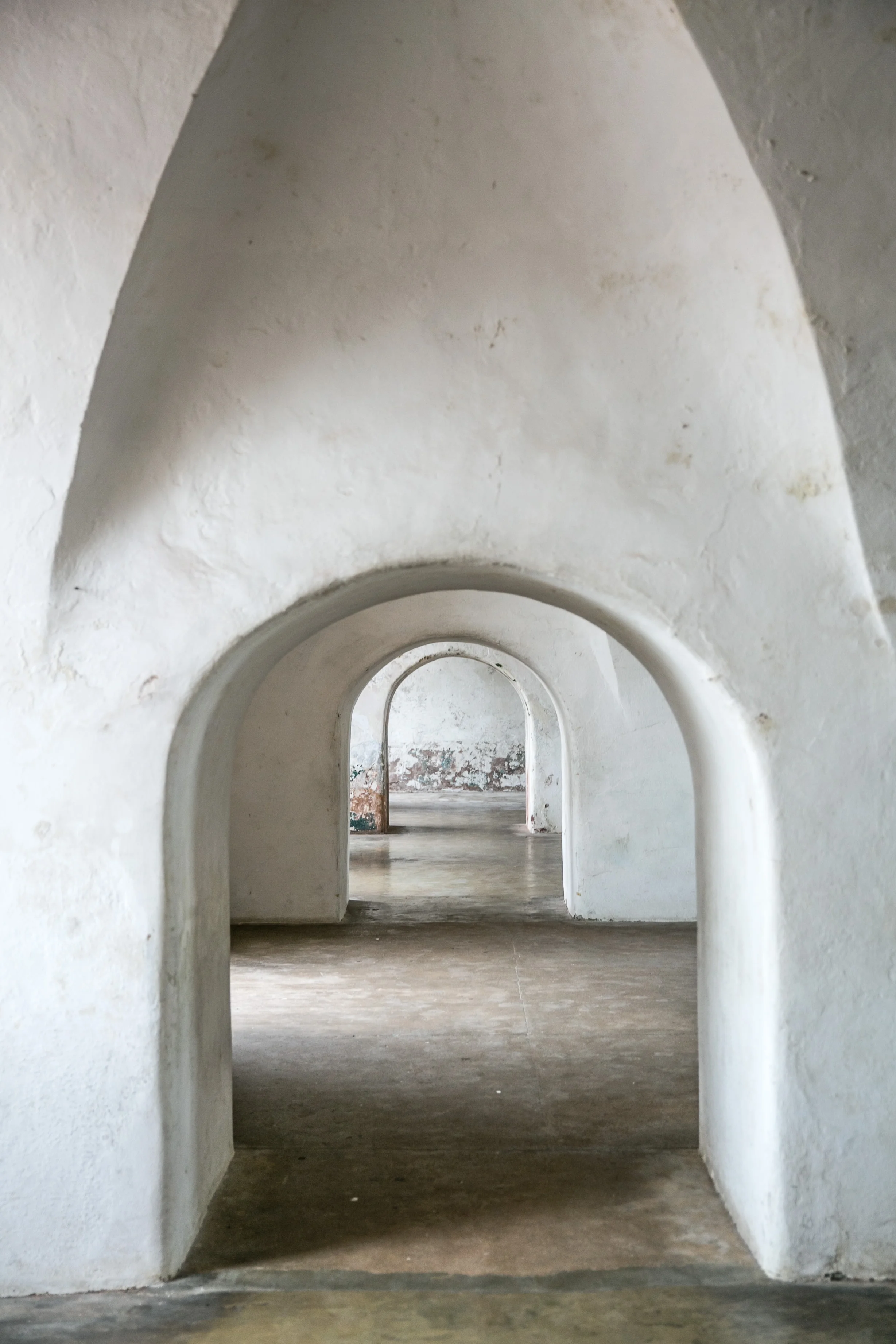 595A9626.jpg