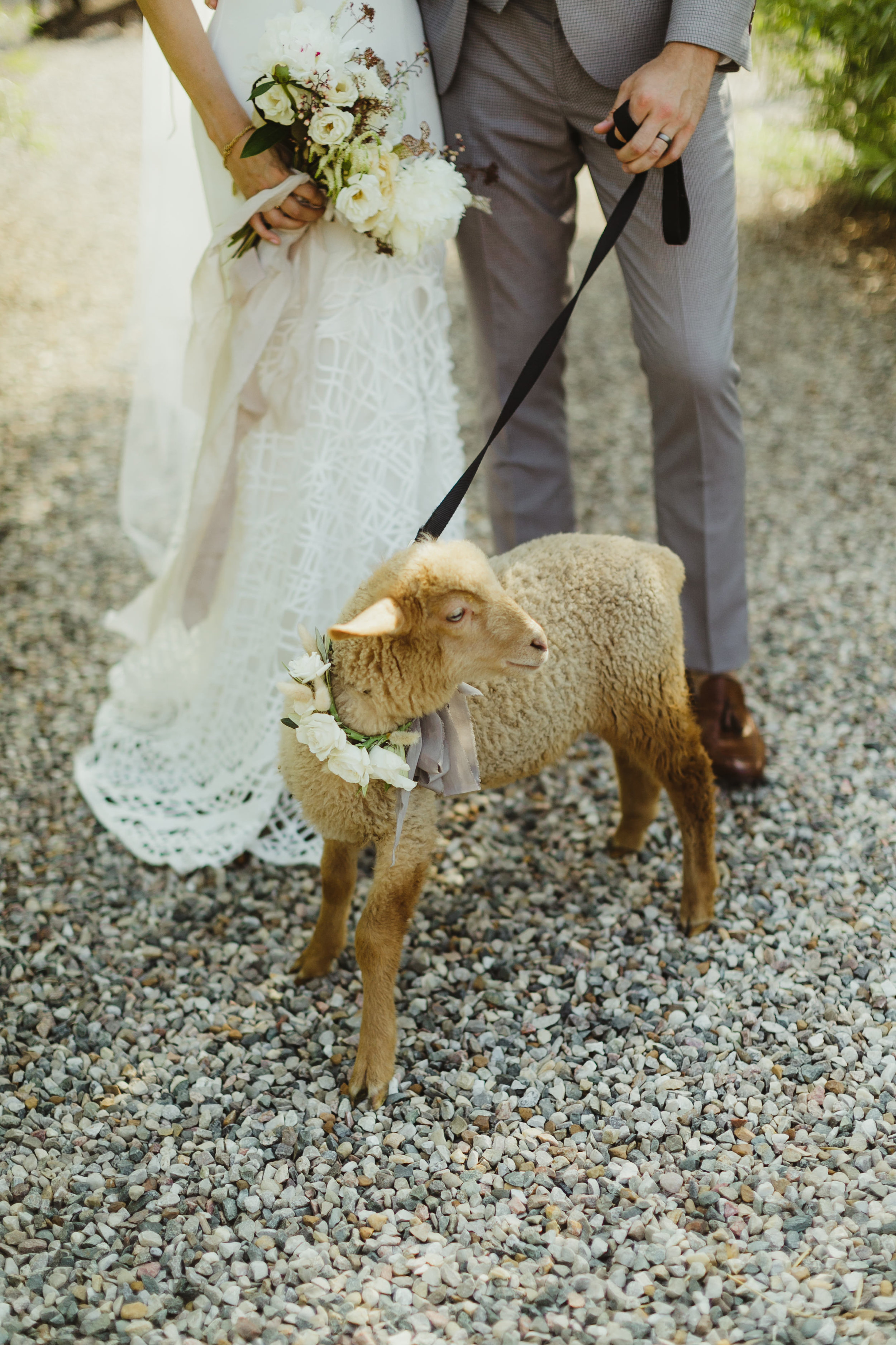 Cornman Farms Wedding