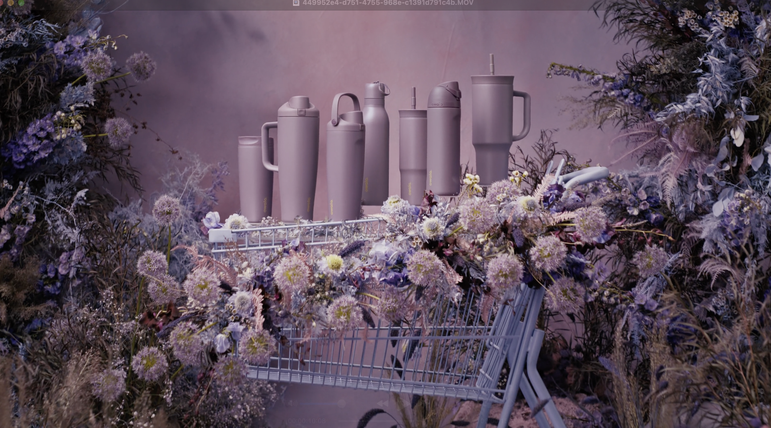 Screenshot 2025-08-14 at 12.36.34 PM.png