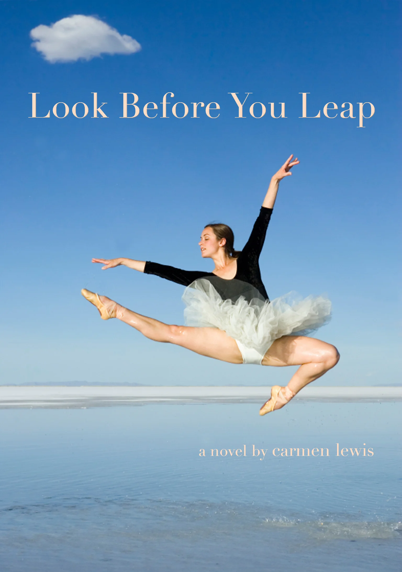 look before you leap book cover • design studio petronella.jpg
