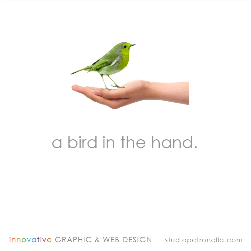 bird in the hand ad • © 2010 concept & design heather rhodes for studio petronella .jpg