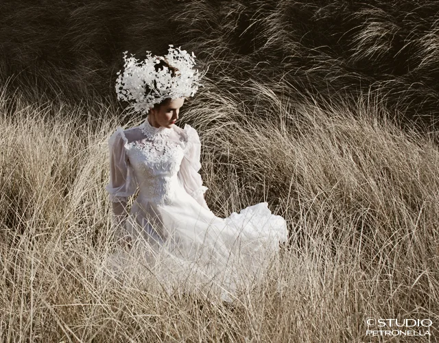 %22bride in a strange land%22 1 © 2013 heather rhodes studio petronella all rights reserved 500pxh.jpg