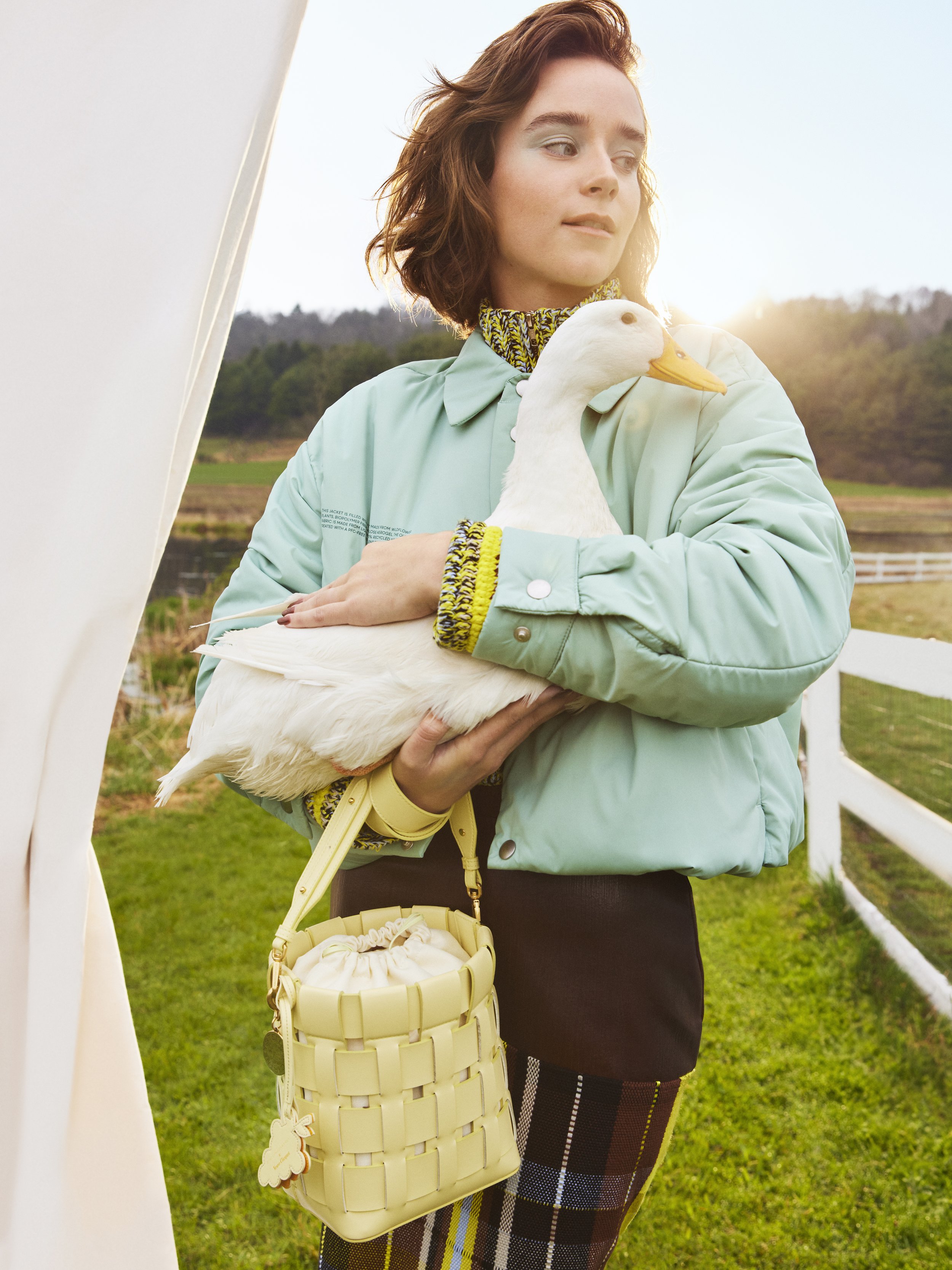 03_988_GFS_035_DUCK_C.jpg