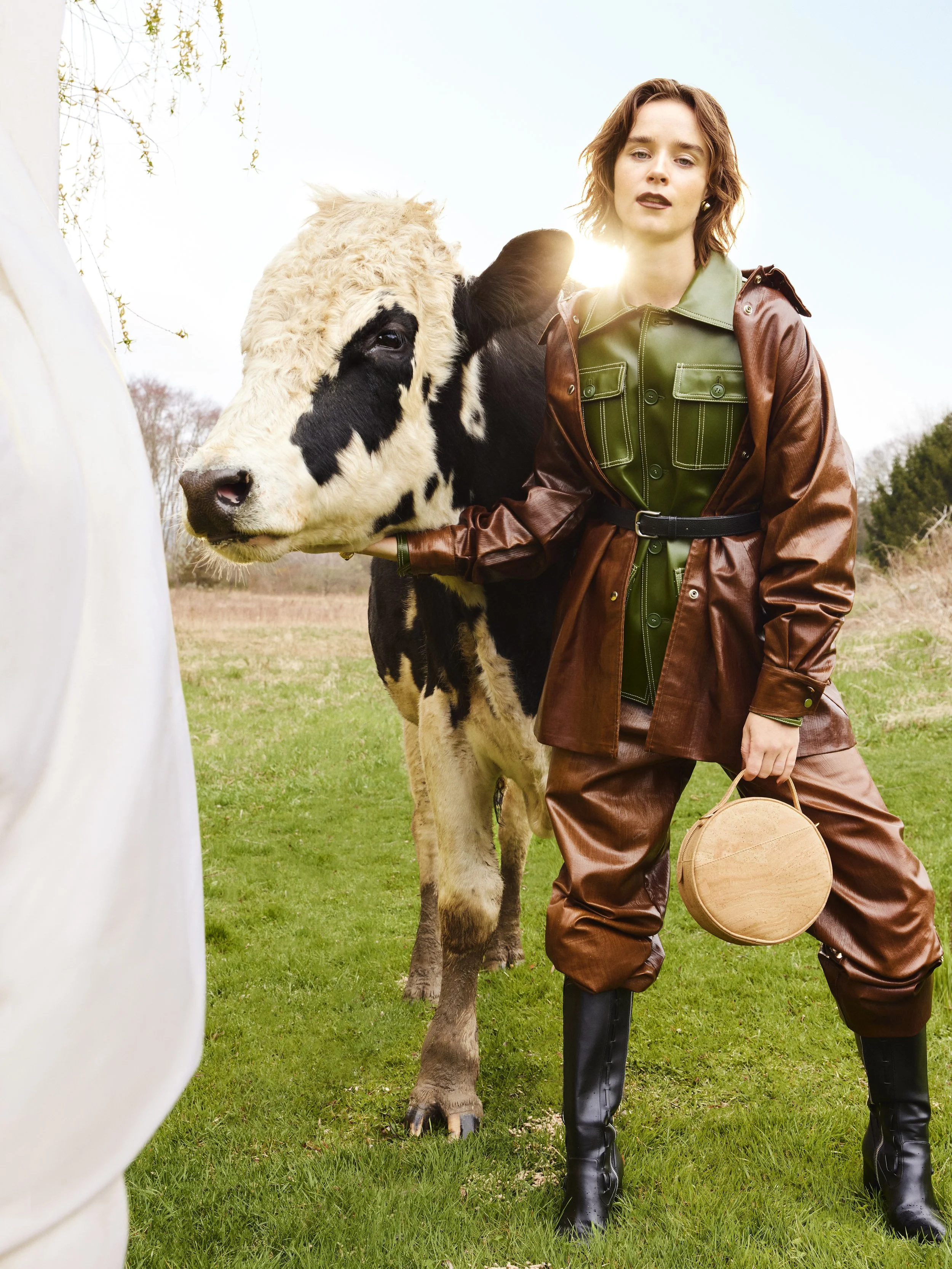 05_988_GFS_137_COW_C.jpg