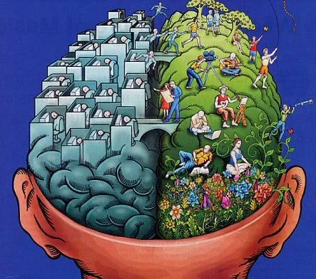 14left-brain-right-brain.jpg