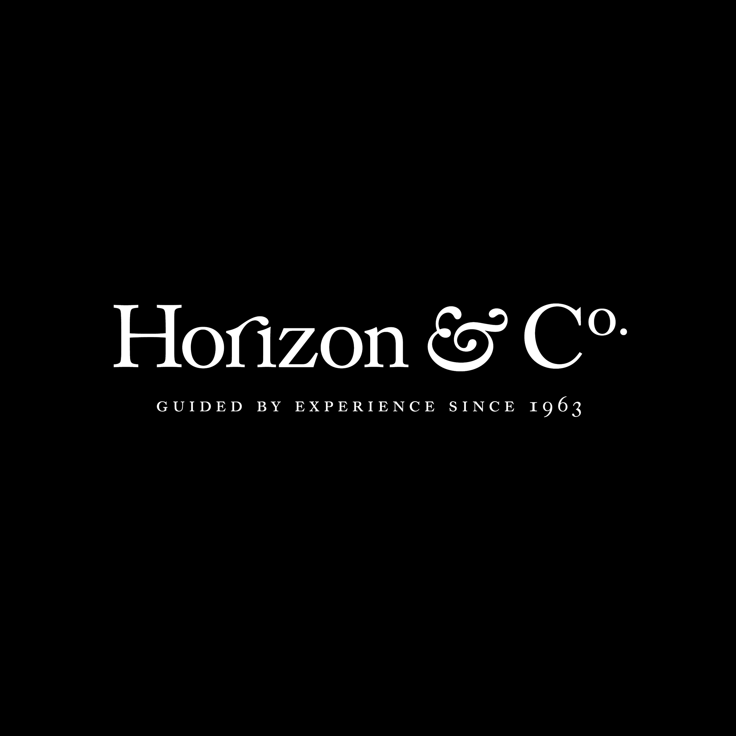 Horizon&Co_Logo_REV.jpg