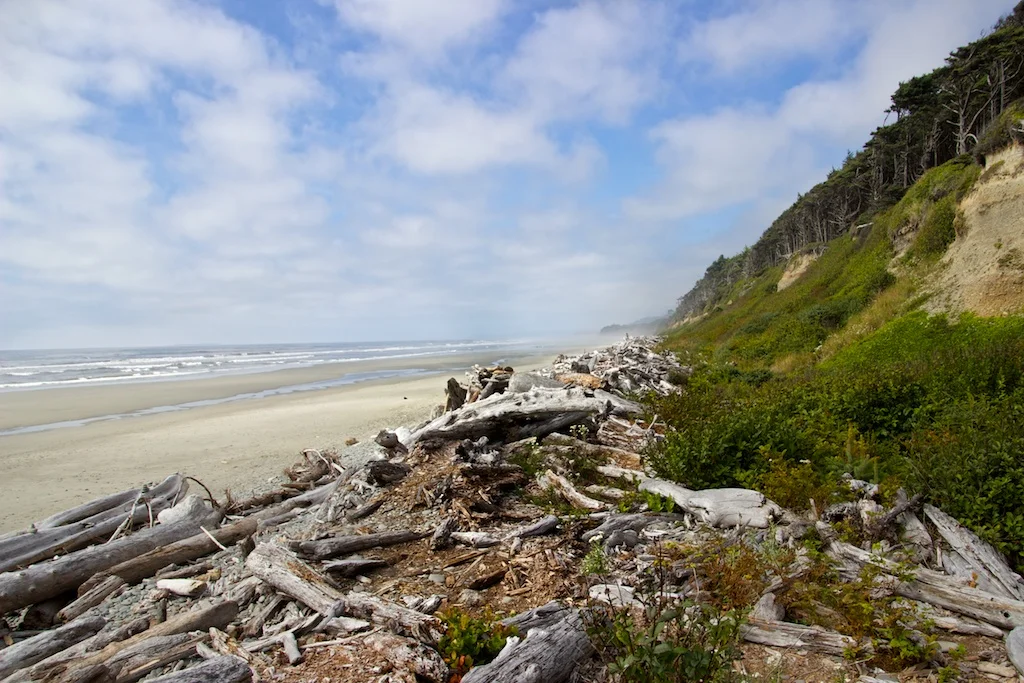 Washington Coast, 2014