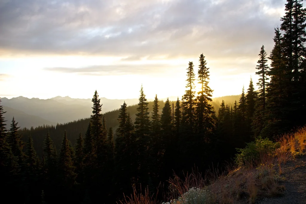 Olympic National Park, 2014