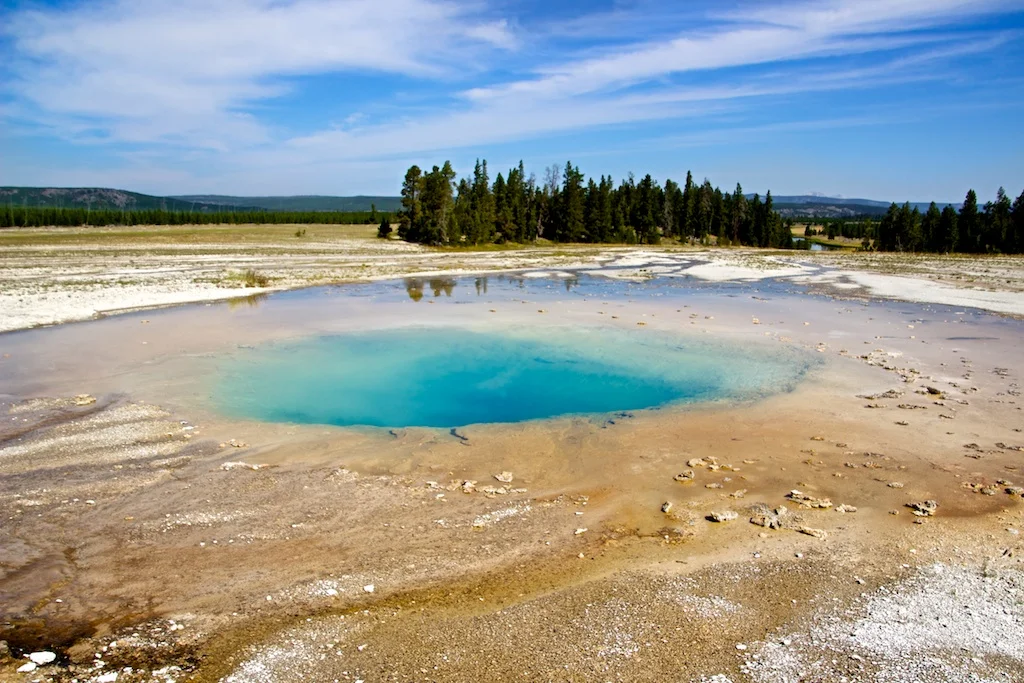 Yellowstone, 2014