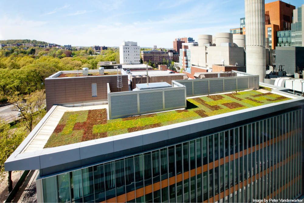 MMHC Binney Building.jpg