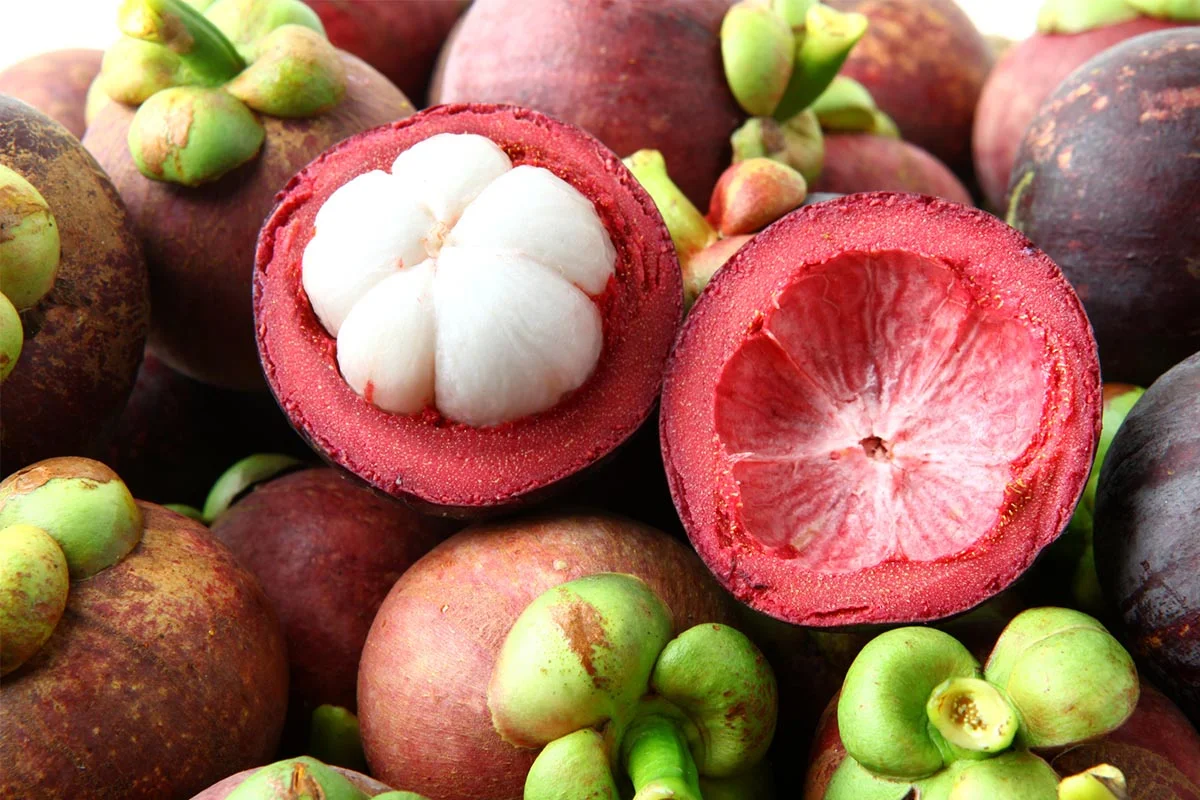 Mangosteen-Peel.jpg