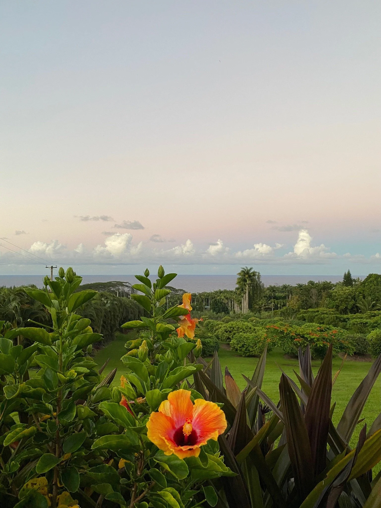 2022 Was An Off Year