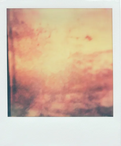 bruise-7 copy.jpg