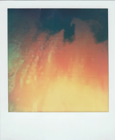 bruise-18 copy.jpg