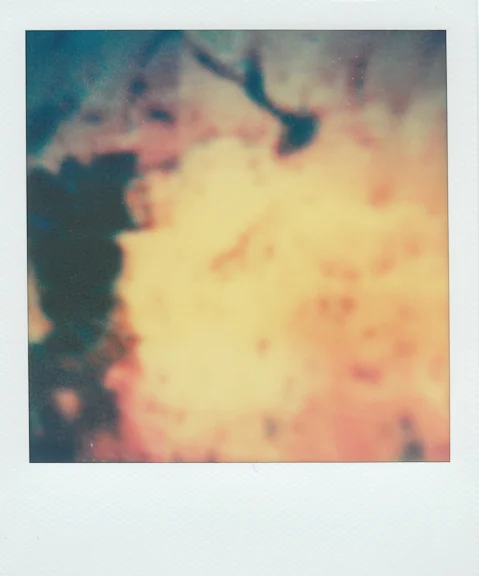 bruise-21 copy.jpg
