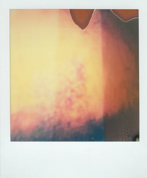 bruise-22 copy.jpg