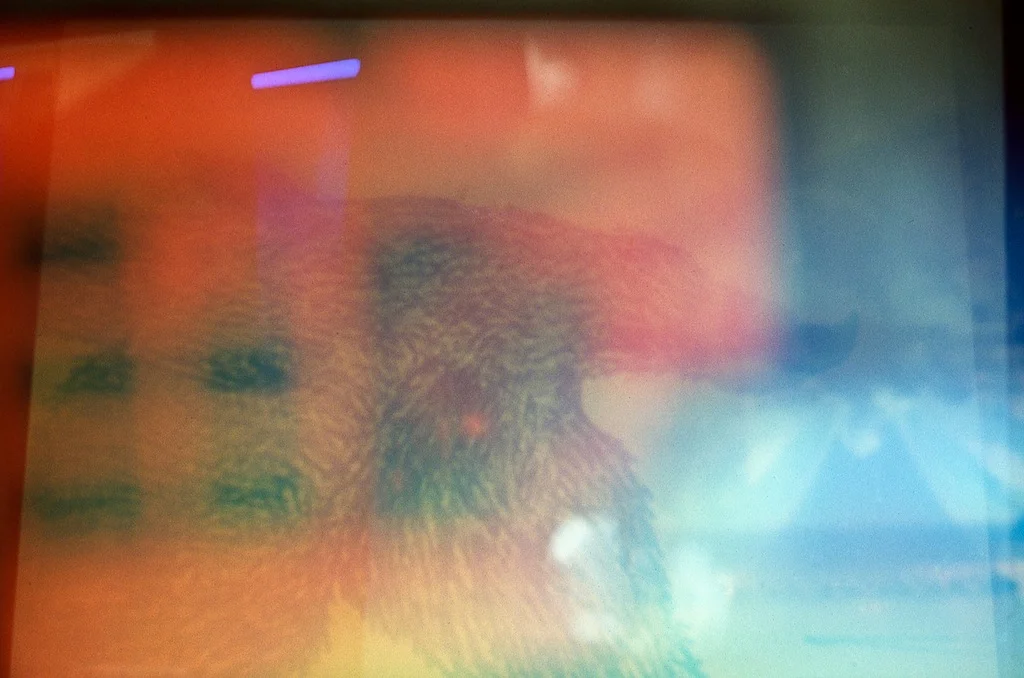 Abstraction Assignment (photo 1-color photography)
2012
Fujichrome slide film
no print made, projected via Kodak Ektagraphic Slide Projector for critique