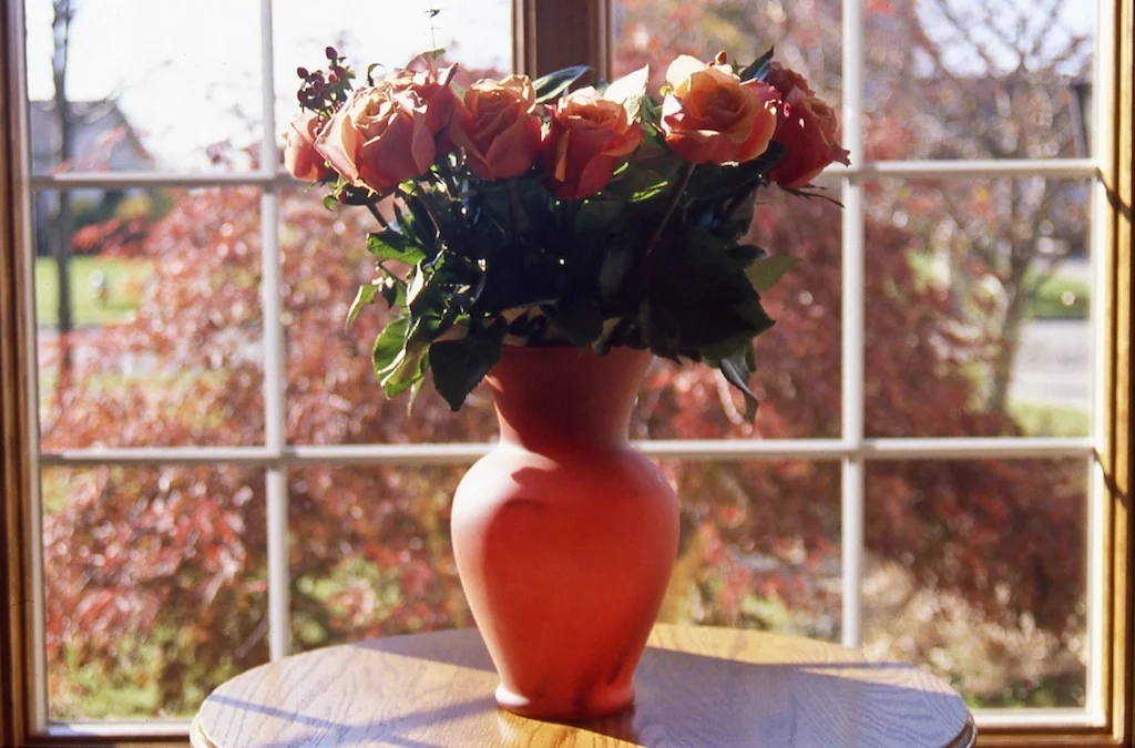 Found Still Life Assignment (photo 1-color photography)
2012
Fujichrome slide film
no print made, projected via Kodak Ektagraphic Slide Projector for critique