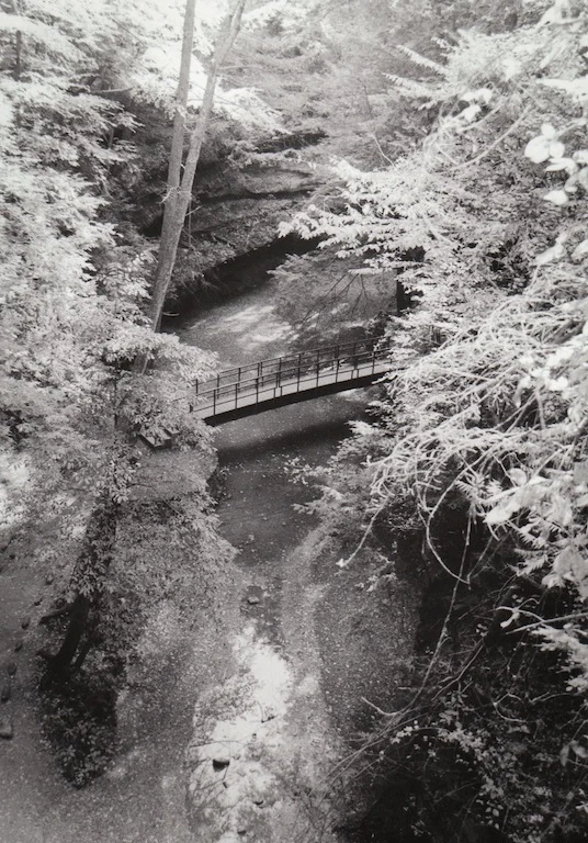 Landscape Assignment (photo 1- black and white)
2012
Silver Gelatin Print
8”x10”