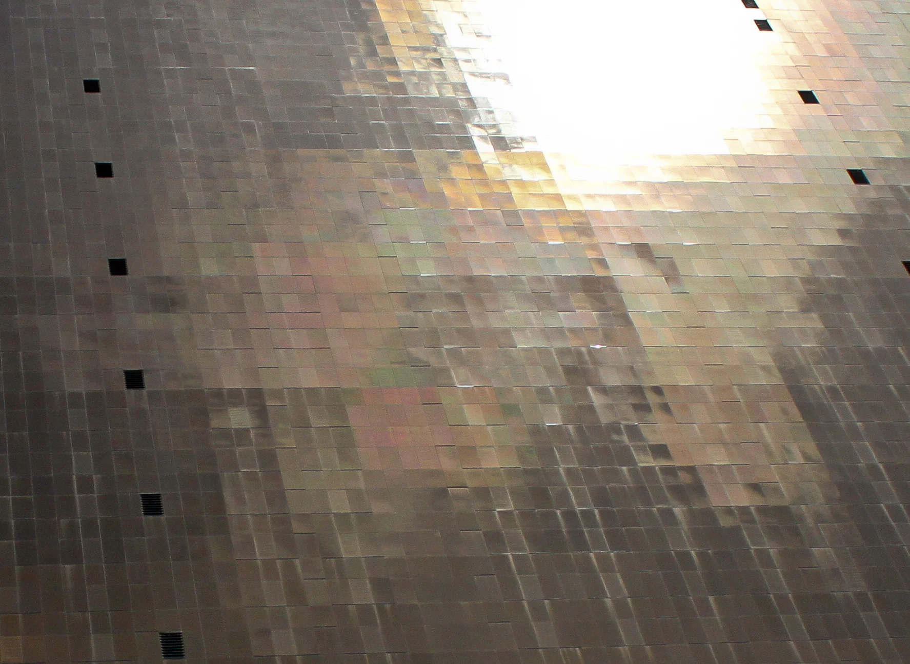20110510-IMG_1430.jpg