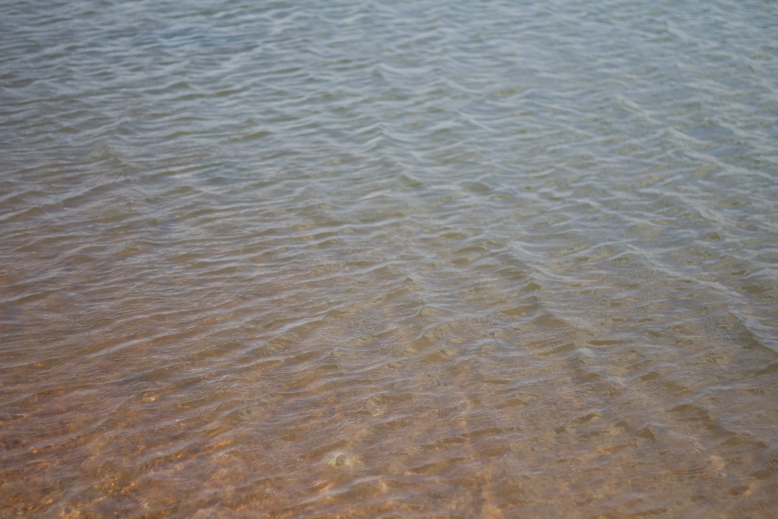 Warmer waters