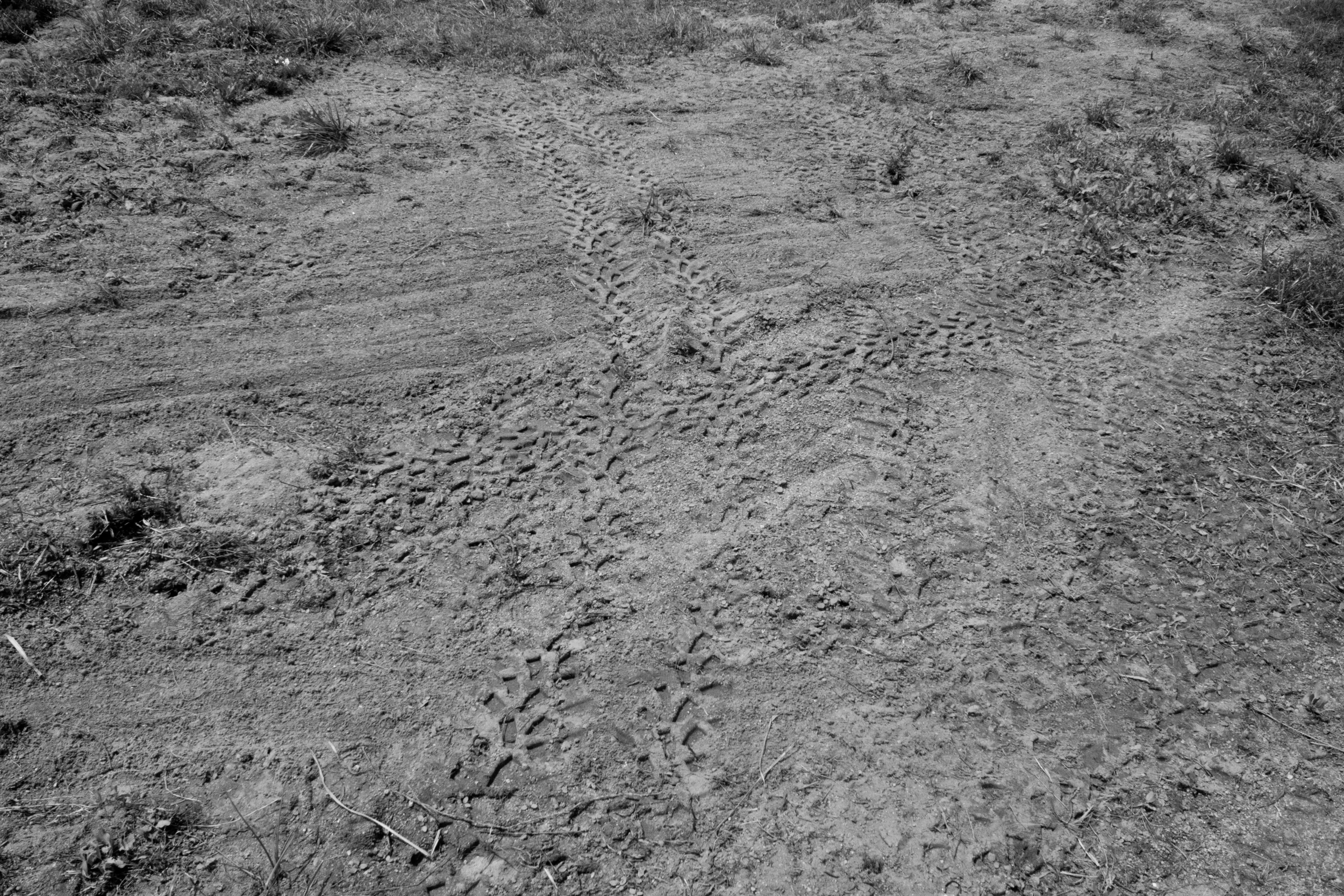 Tracks