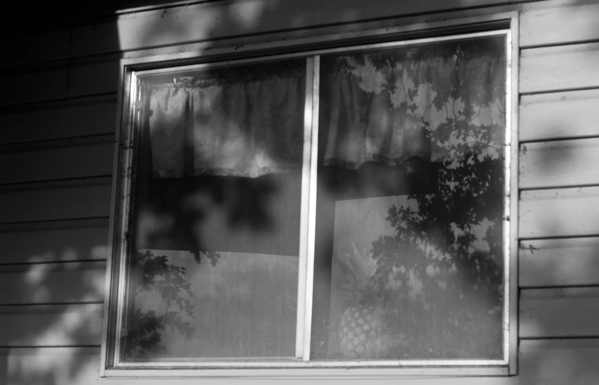 LakehouseMcGilvray-56.jpg