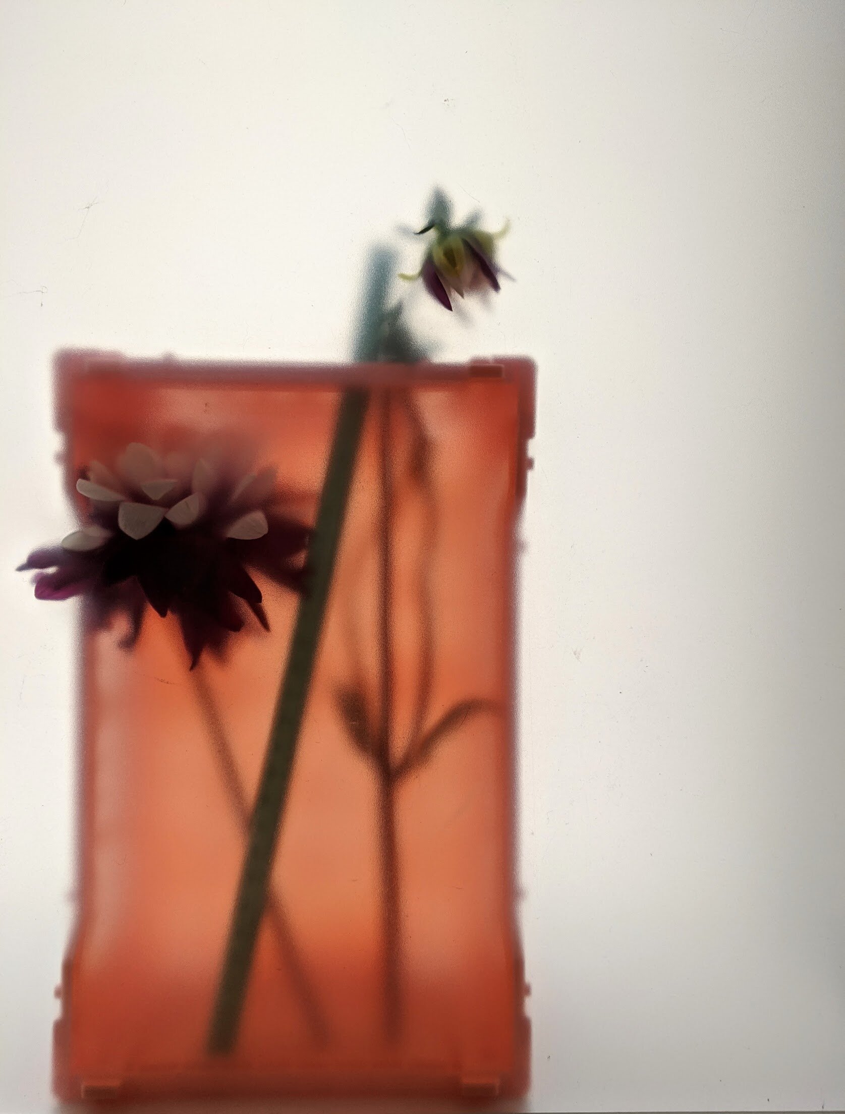 Caroline Davis Stylist