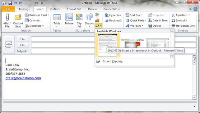 InsertScreenShotEmail-02.png