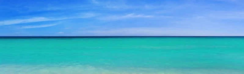 CCB PAGE THUMBNAIL.jpg