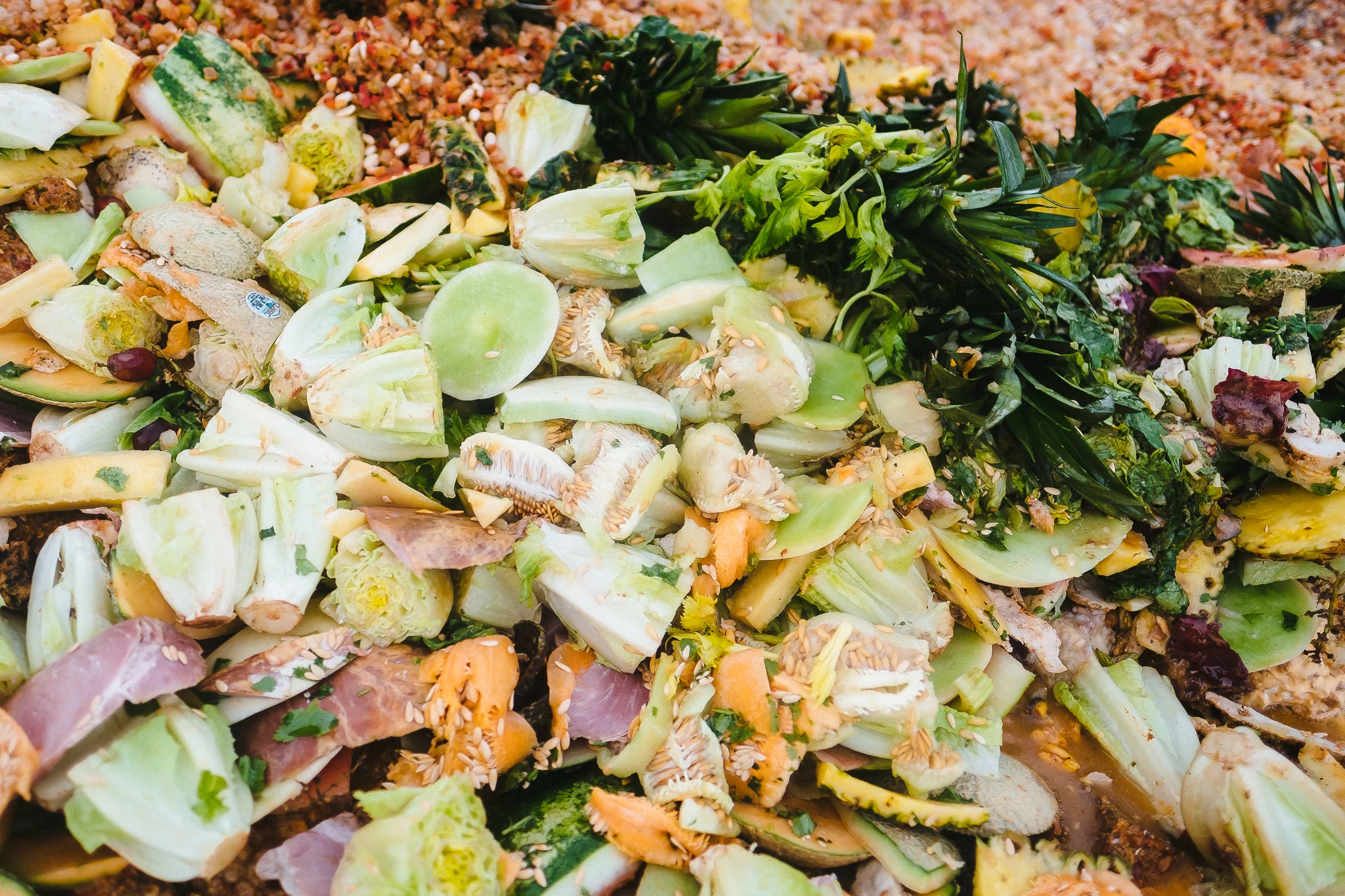 Food Waste-1.jpg