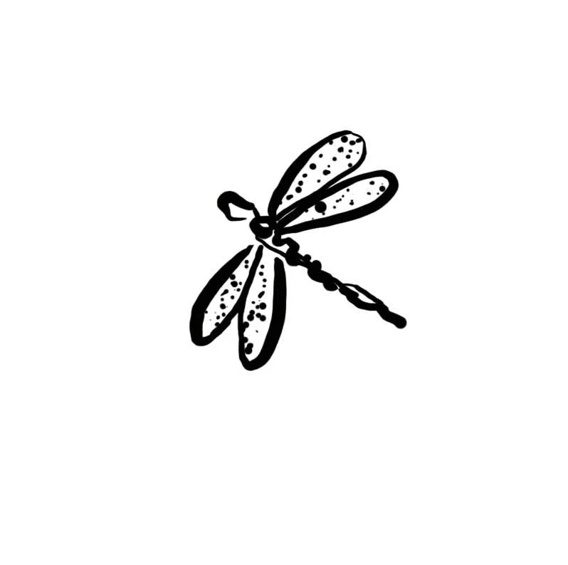 dragonfly.jpg
