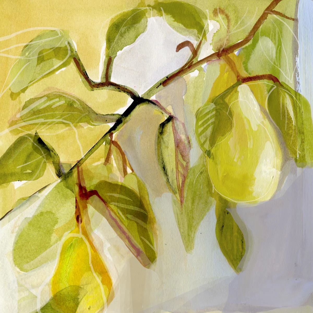 pear 1.jpg