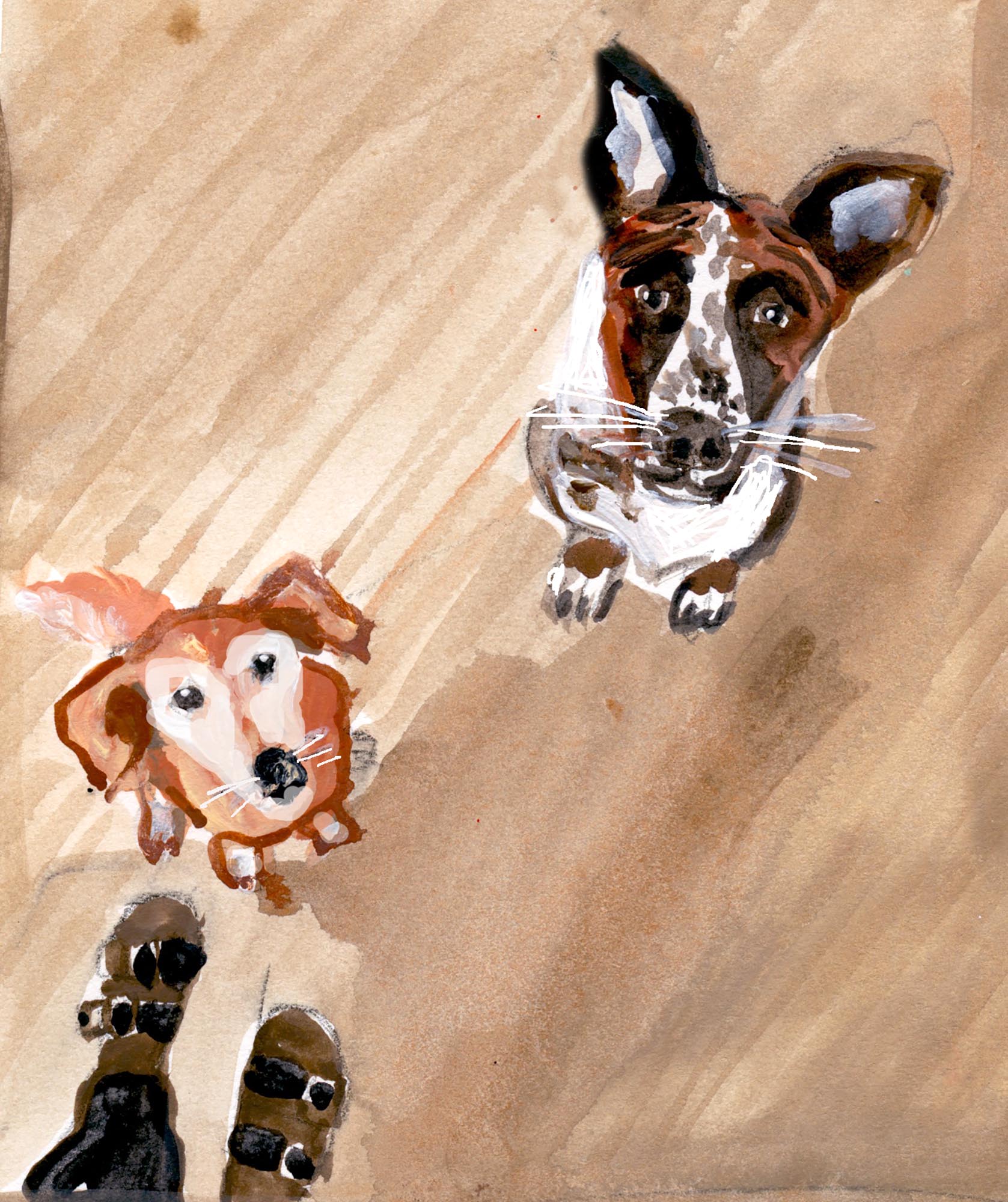 charlie and nippa wait for treats.2000.jpg