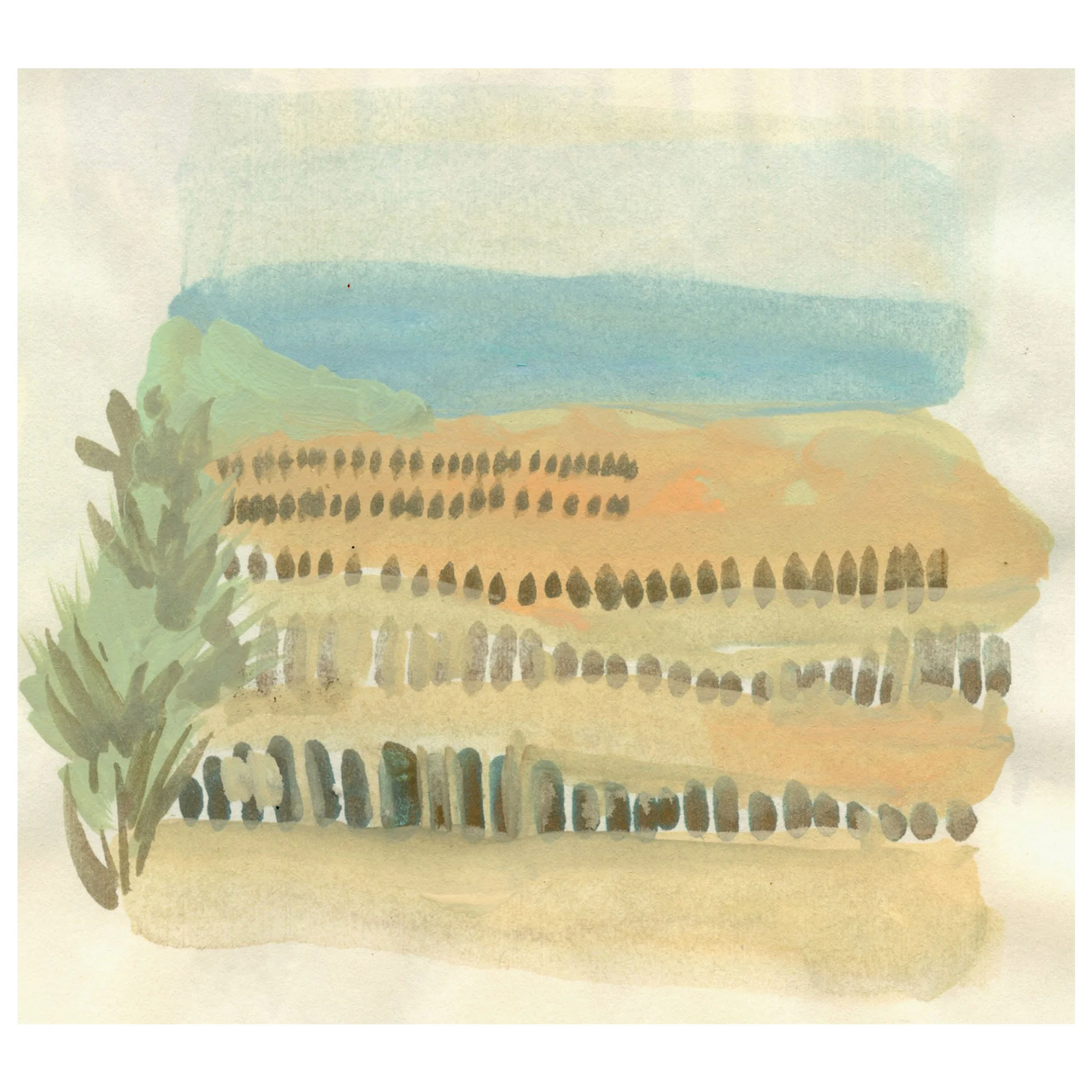 beach1.2000.jpg