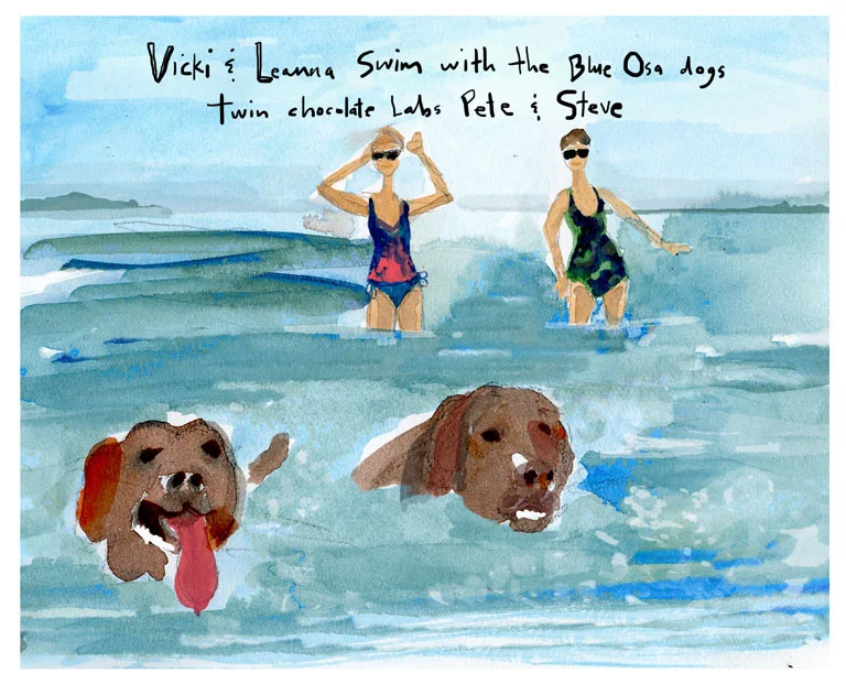 blue osa swimmming dogs2.jpg