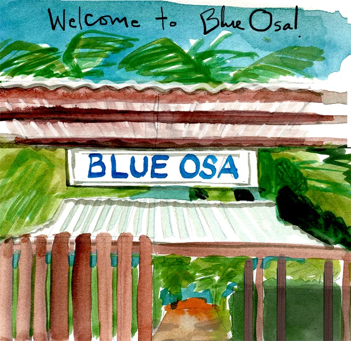 welcome to blue osa.jpg