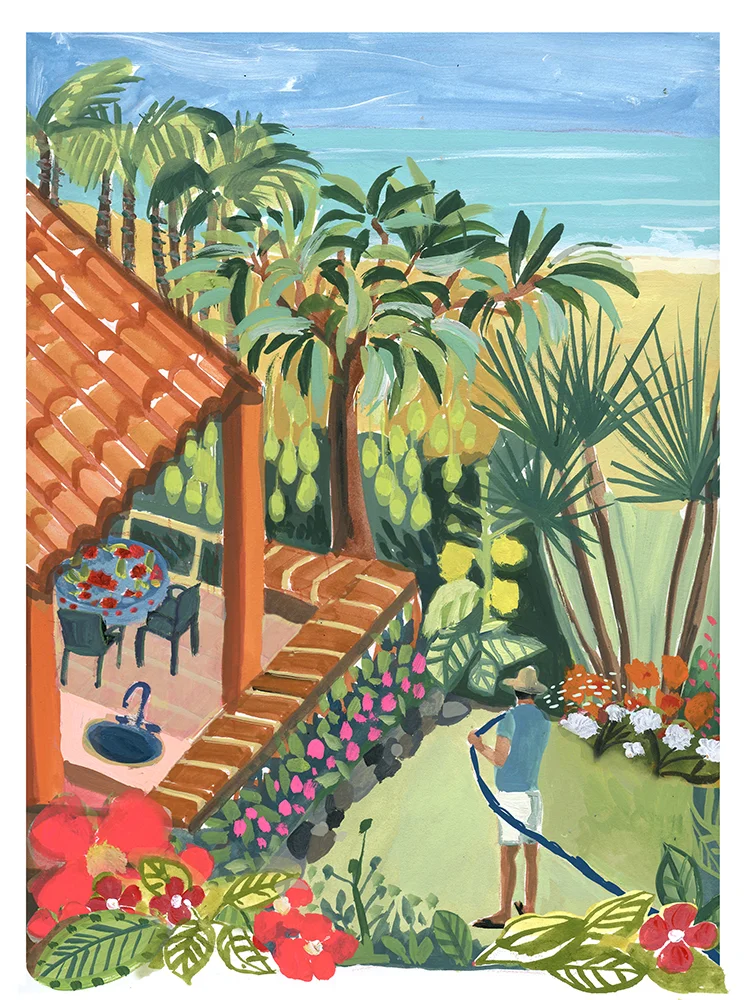 mexican garden.jpg