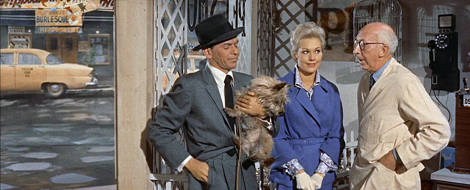 Pal Joey - Pet Shop