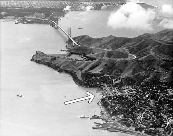 The Lady From Shanghai - Whaler's Cove, Sausalito