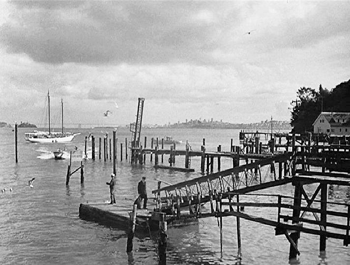 The Lady From Shanghai - Whaler's Cove, Sausalito