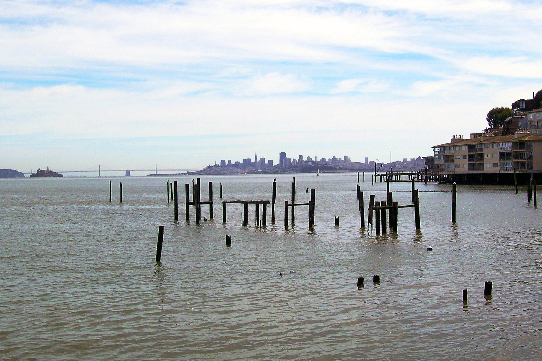 The Lady From Shanghai - Whaler's Cove, Sausalito