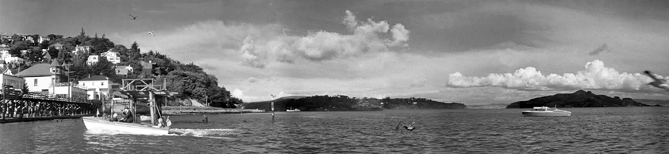 The Lady From Shanghai - Whaler's Cove, Sausalito