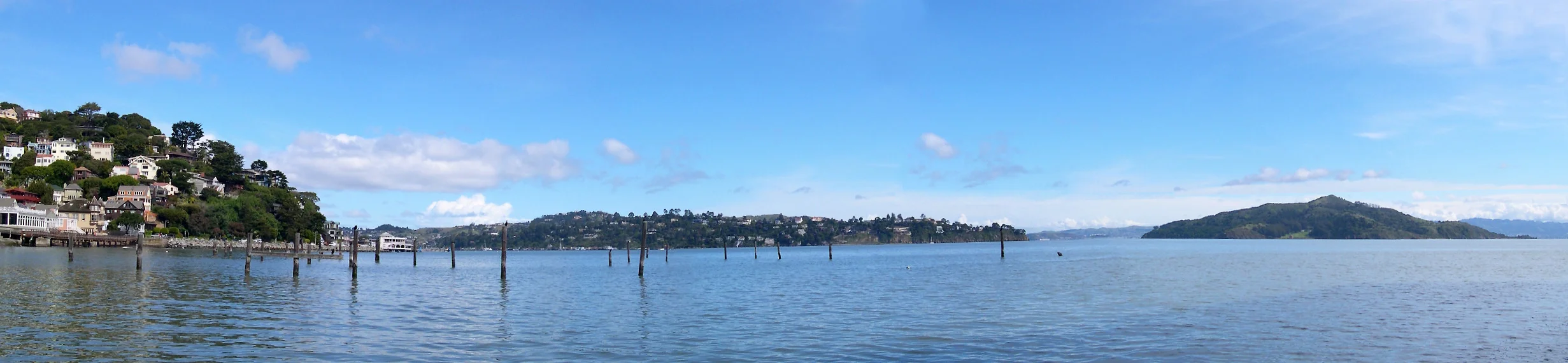 The Lady From Shanghai - Whaler's Cove, Sausalito
