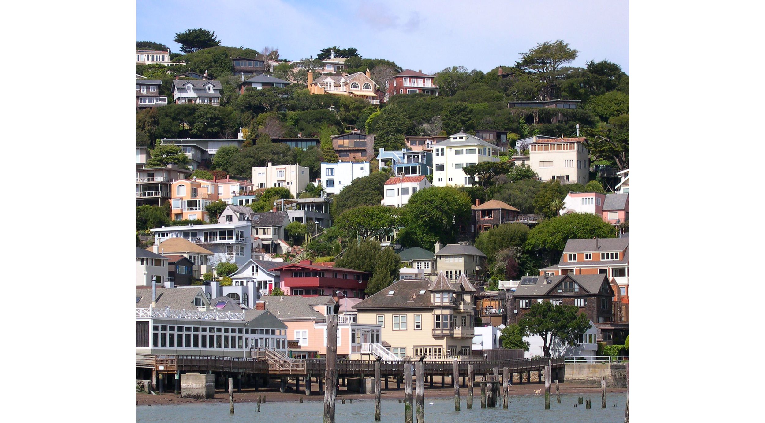 The Lady From Shanghai - Whaler's Cove, Sausalito