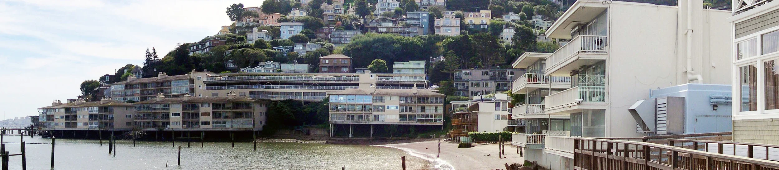 The Lady From Shanghai - Whaler's Cove, Sausalito
