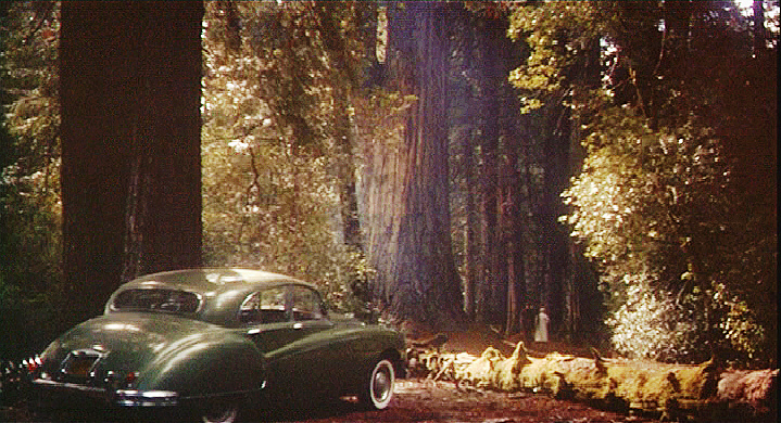 Vertigo - Communing With The Redwoods