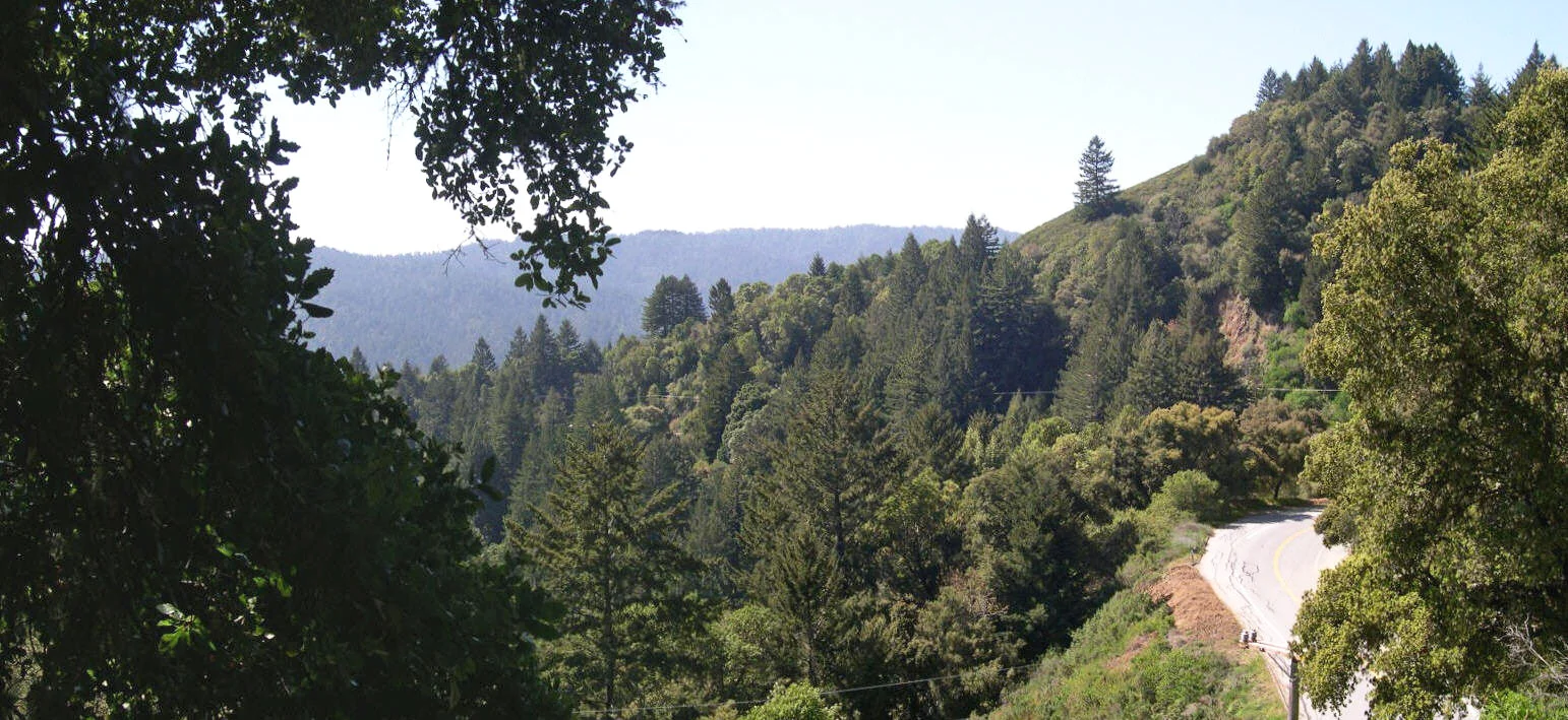 Vertigo - Communing With The Redwoods